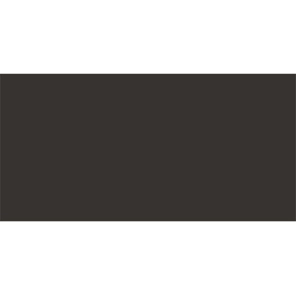 Allstar Performance Allstar Performance ALL22461 4 x 8 ft. Plastic Sheet - Black; 0.1 in. Thickness ALL22461 - main